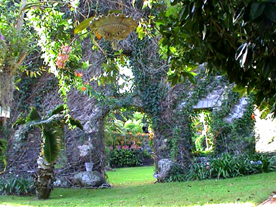 Gathering of Friends Natural WEdding Arches