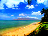 Best Maui Beach Wedding Site