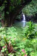 Maui waterfall wedding
