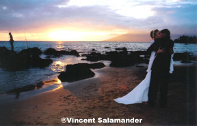 Happy maui weddings