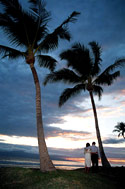 Paradise WEddings in Maui