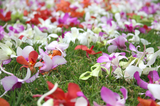 Wedding Arches Flower