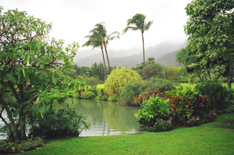 Maui Tropical Plantation