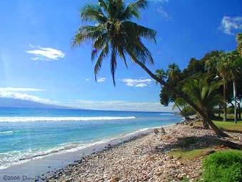 Beach Wedding Site